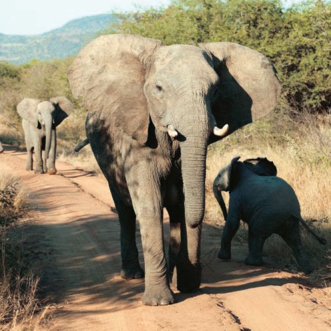 Viaje a Sudáfrica