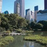 viaje nueva york central park