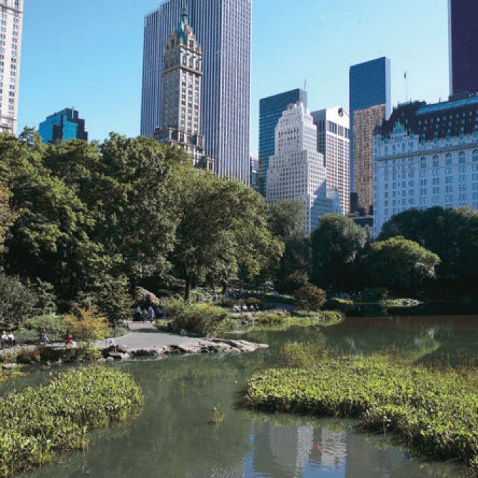 Nueva York en Navidad