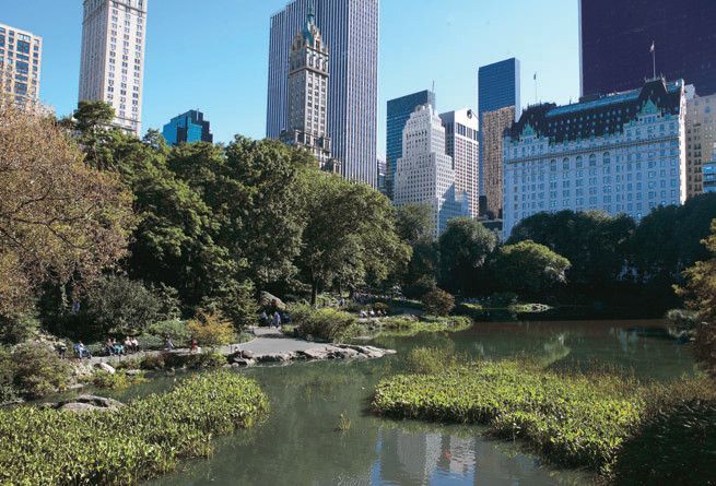 Nueva York en Navidad