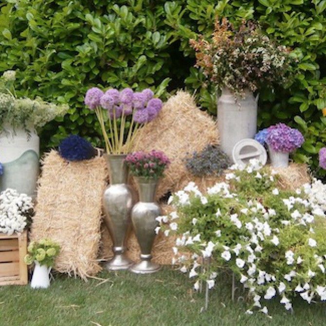 The Flower Room