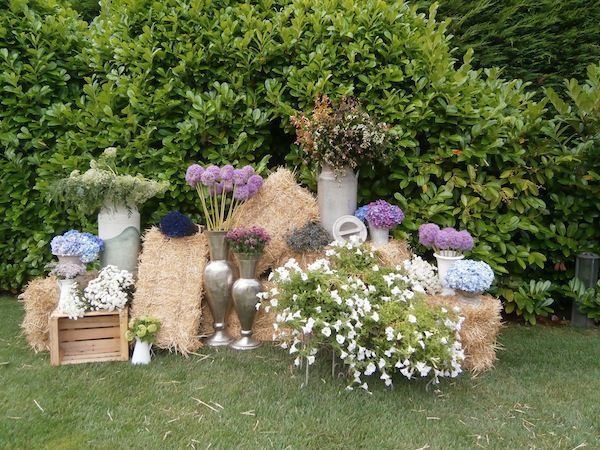 The Flower Room