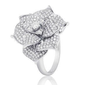 CAMELIA copy