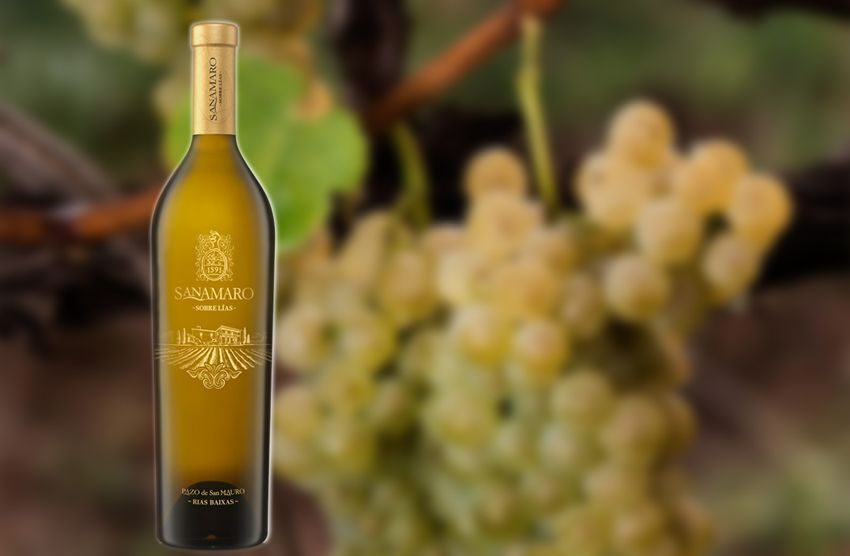 Sanamaro 2015 un Albariño elegante del Pazo de San Mauro