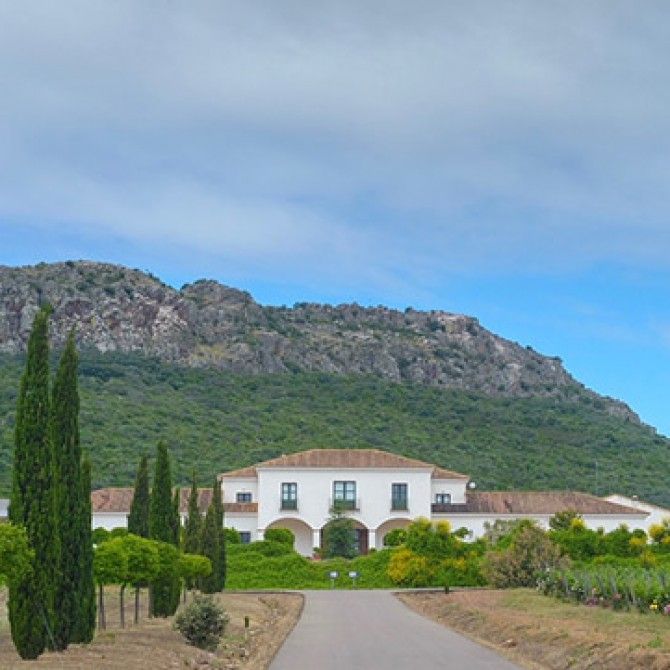 Viña Santa Marina Viognier Vendimia Tardía
