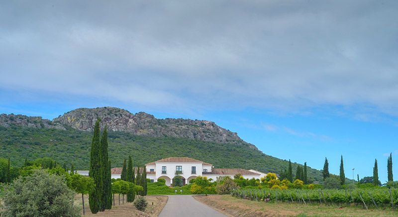 Viña Santa Marina Viognier Vendimia Tardía