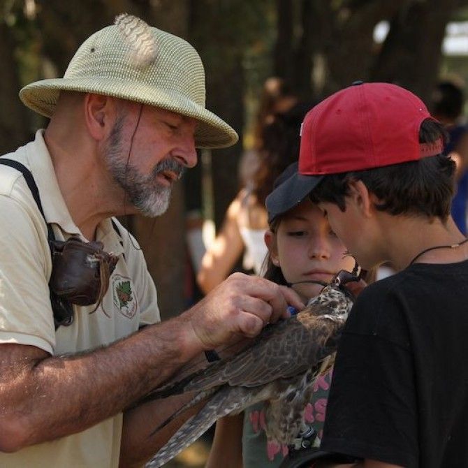 Campamentos de verano de Caza y Cetrería en Gredos 2022