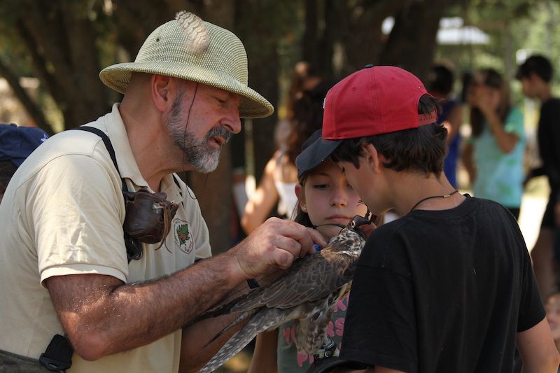 Campamentos de verano de Caza y Cetrería en Gredos 2022